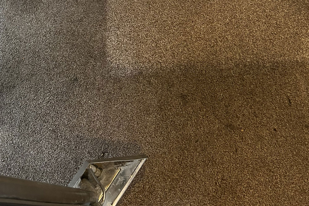 carpet cleaning  Kingsbridge South Hams | carpet cleaners  Kingsbridge South Hams | carpet stain removal  Kingsbridge South Hams |  Kingsbridge South Hams | fast dry carpet cleaning  Kingsbridge South Hams 